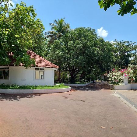 Angels Resort Aradi Socorro Exterior photo